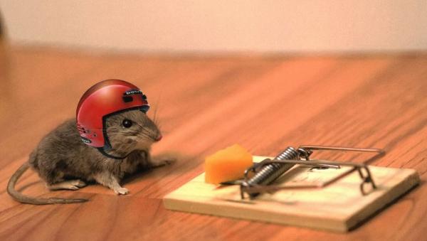 mouse-trap-helmet-small